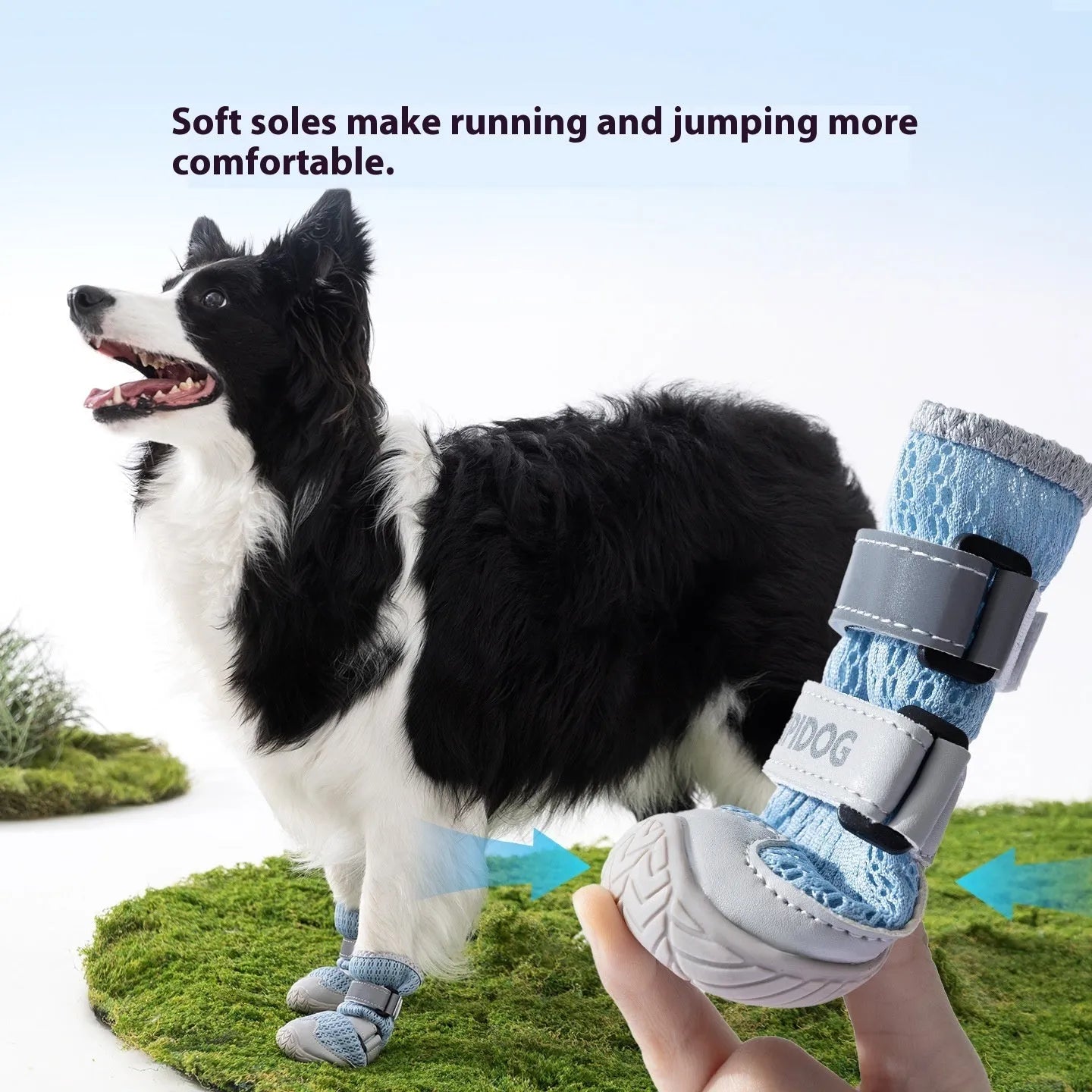 Cartoon style summer dog shoes with anti-scald protection in Bondi Blue and Dean Green colours