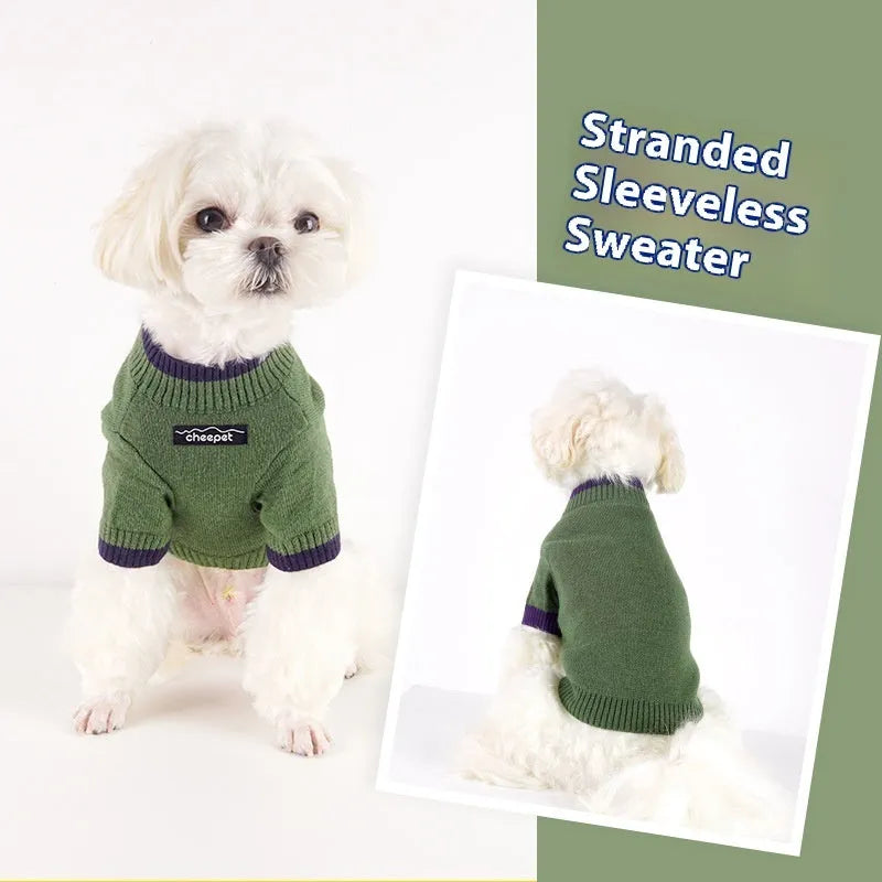 British style wool pet sweater with contrasting colours on two legs, shown in Crown Blue colour option