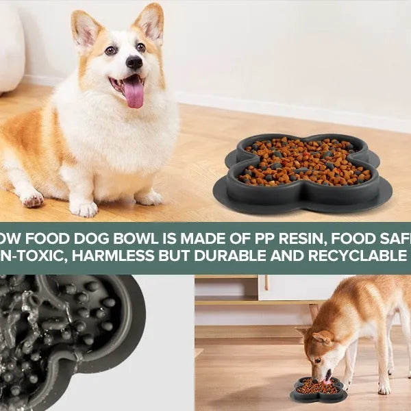 Silicone pet licking pad slow feeder in green colour on kitchen floor
