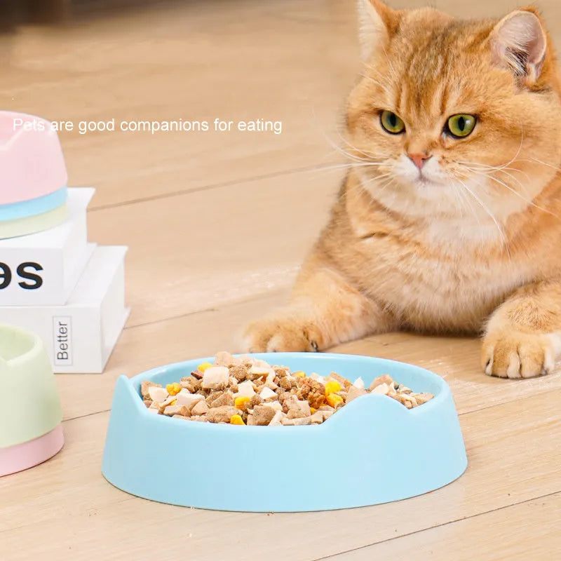 Ceramic dog slow feeder bowl with puzzle maze pattern in blue, green, or pink colours