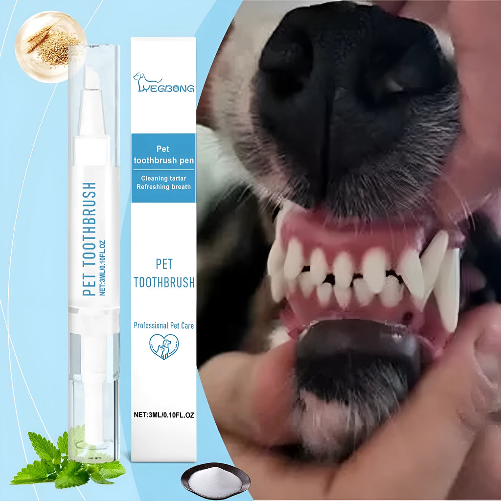 Soft-bristled pet toothbrush pen with integrated 3ml toothpaste for cats and dogs