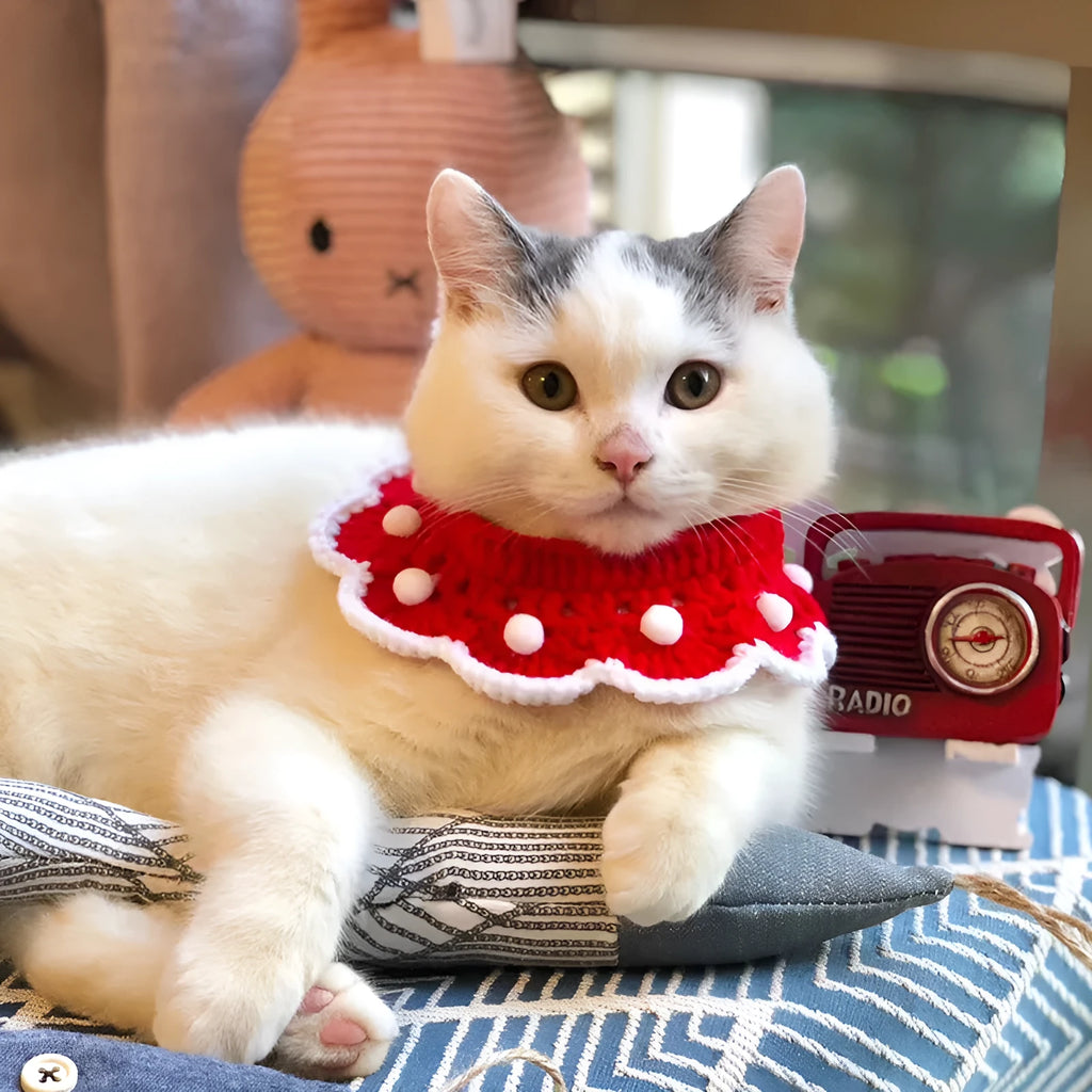 A soft milk cotton knitted pet collar with a cartoon pattern, shown in a selected colour.