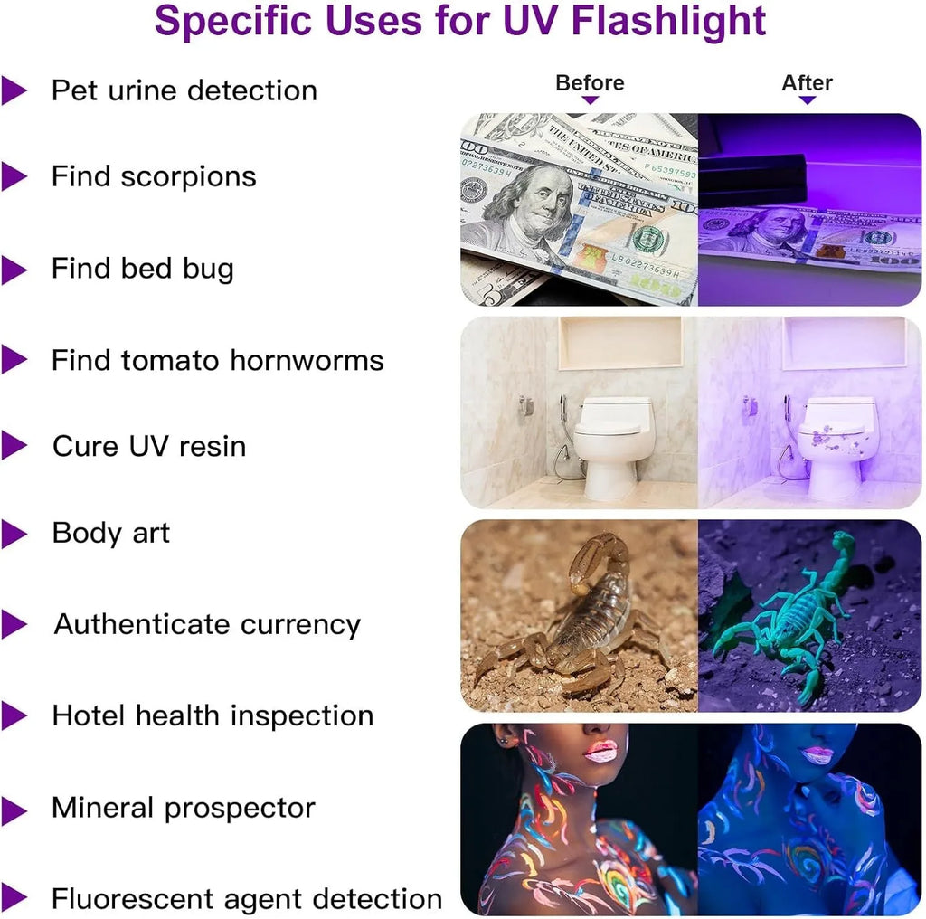 Compact black or silver aluminium alloy UV flashlight for detecting stains and pests.