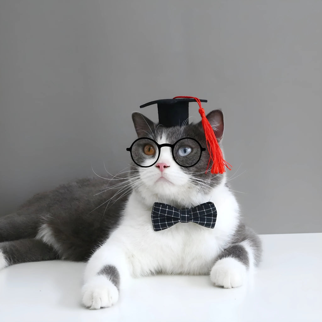 British-style pet hair band and bow tie set in woolen felt for weddings and carnival events