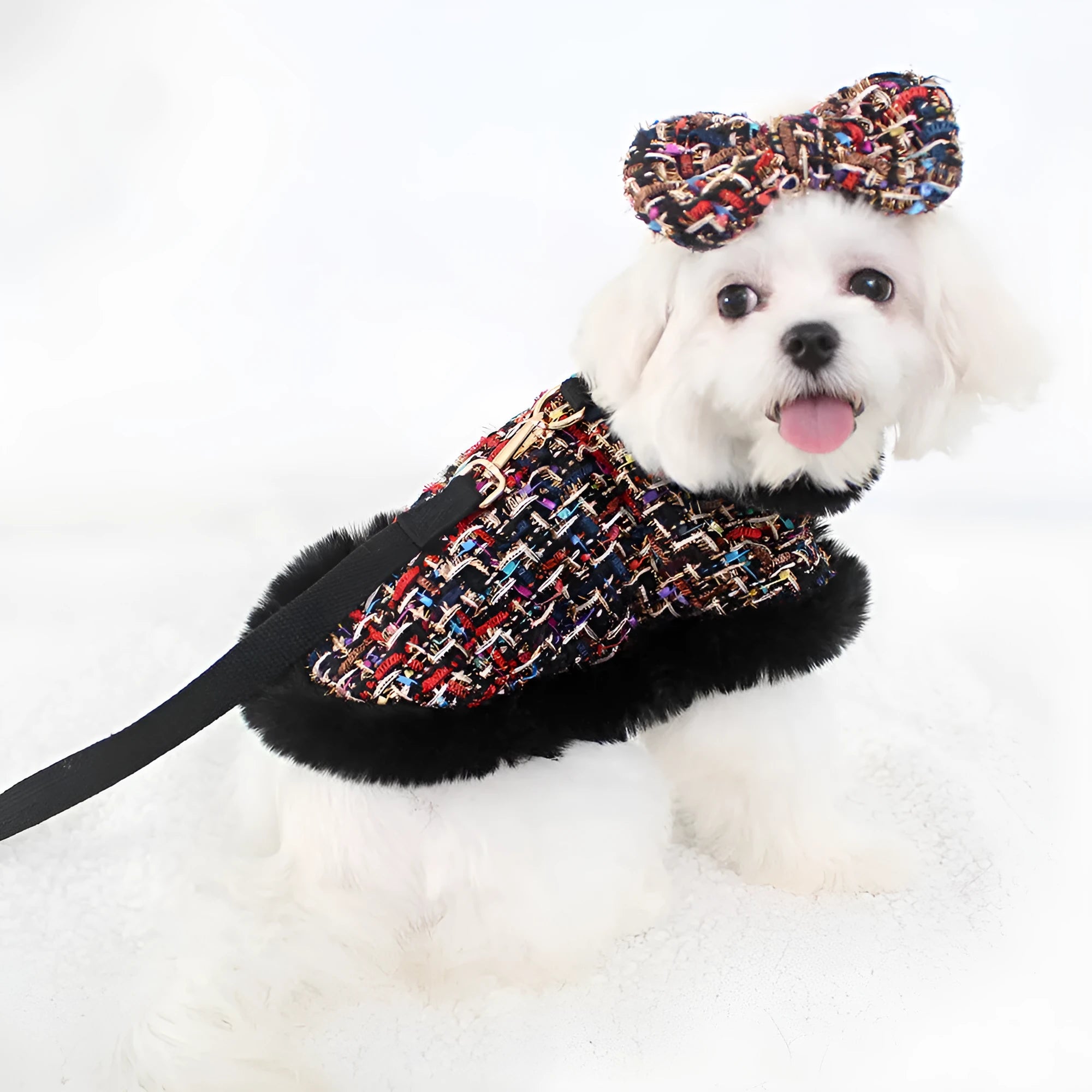 A dog wearing a classic-style cloth chest harness with an attached decorative cloak and integrated hand-holding rope.