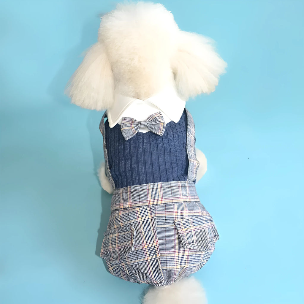 Cotton dog shirt suit in dark blue and orange colours available in S M L XL 2XL sizes