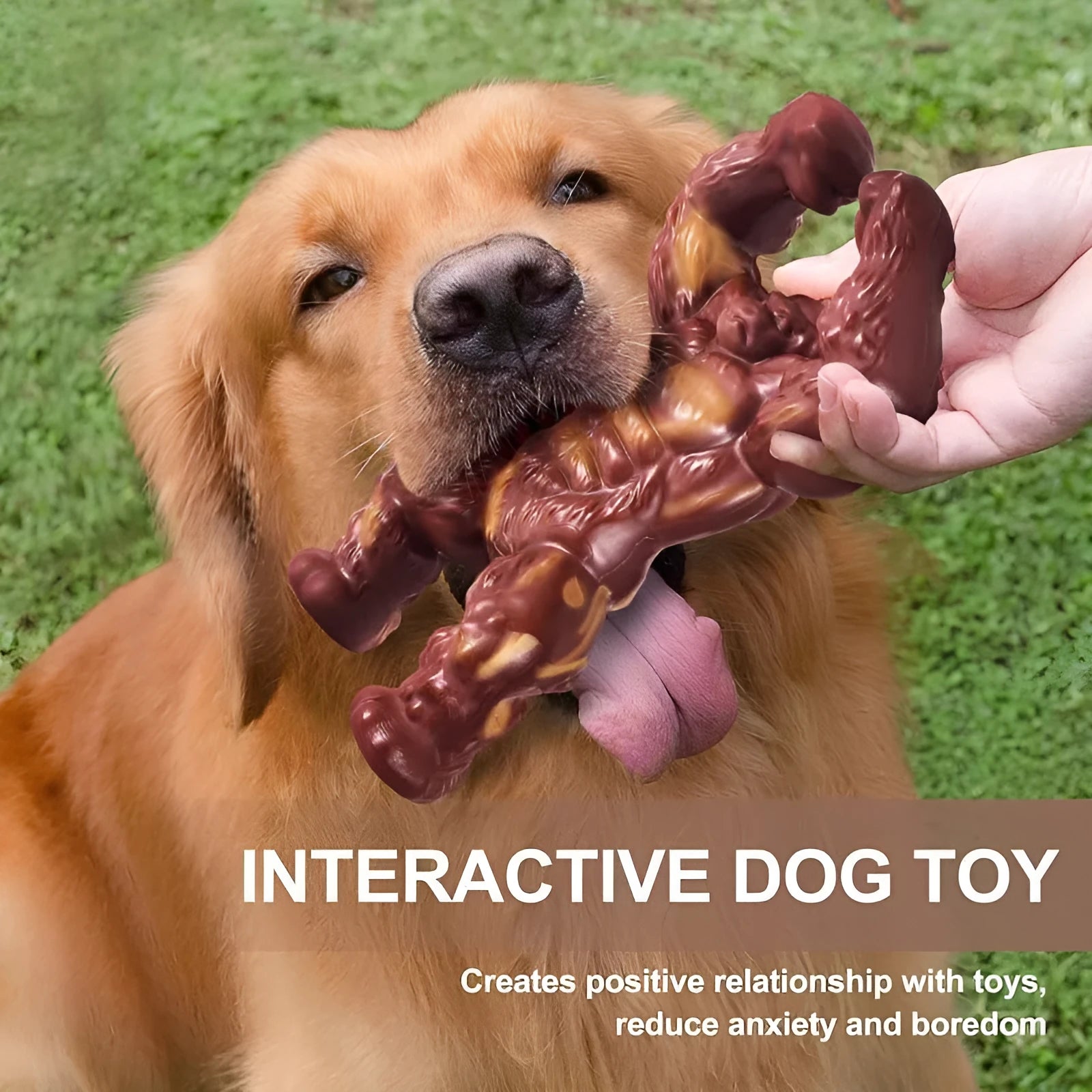 Scarlet red nylon dog chew toy with beef flavour for molar nibbling, measuring 10.7 x 17.2 x 5 cm