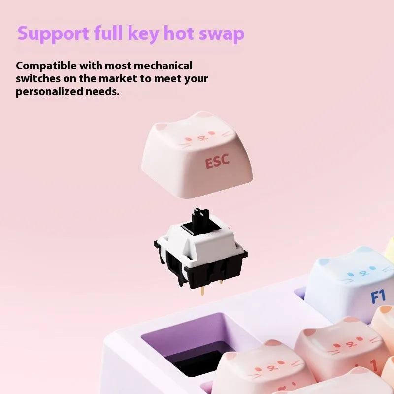 Colour sugar cat mechanical keyboard with MG108B colour scheme and Bluetooth connectivity