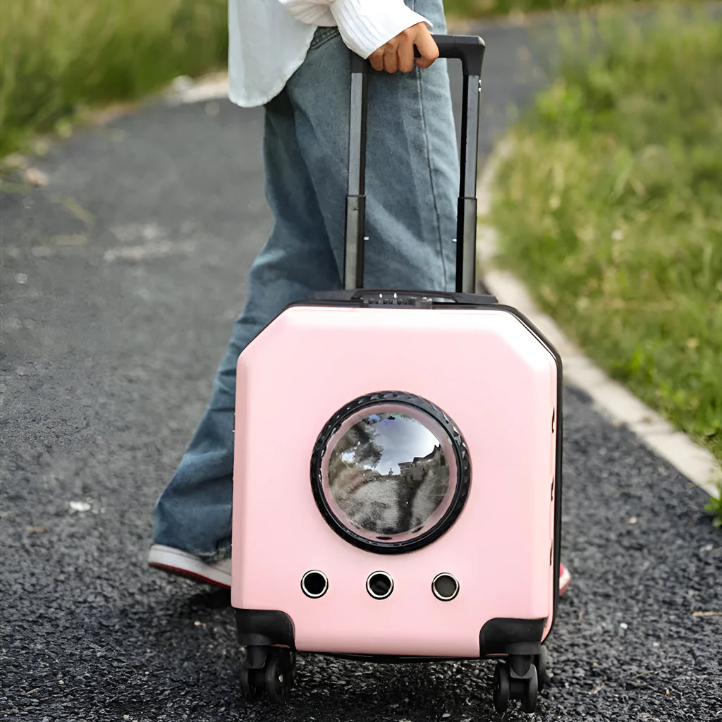 Hard shell PVC pet trolley case in orange, pink, white, or burgundy for travel.