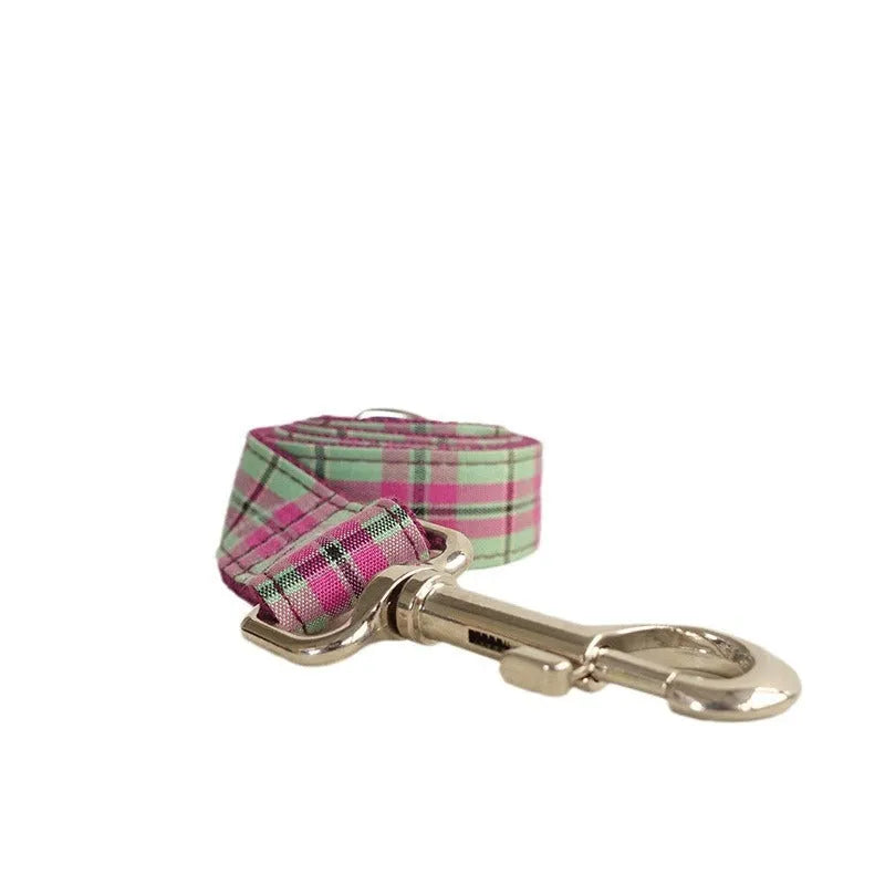 Mint Zigezi tear-resistant polyester dog collar and leash set on a light background