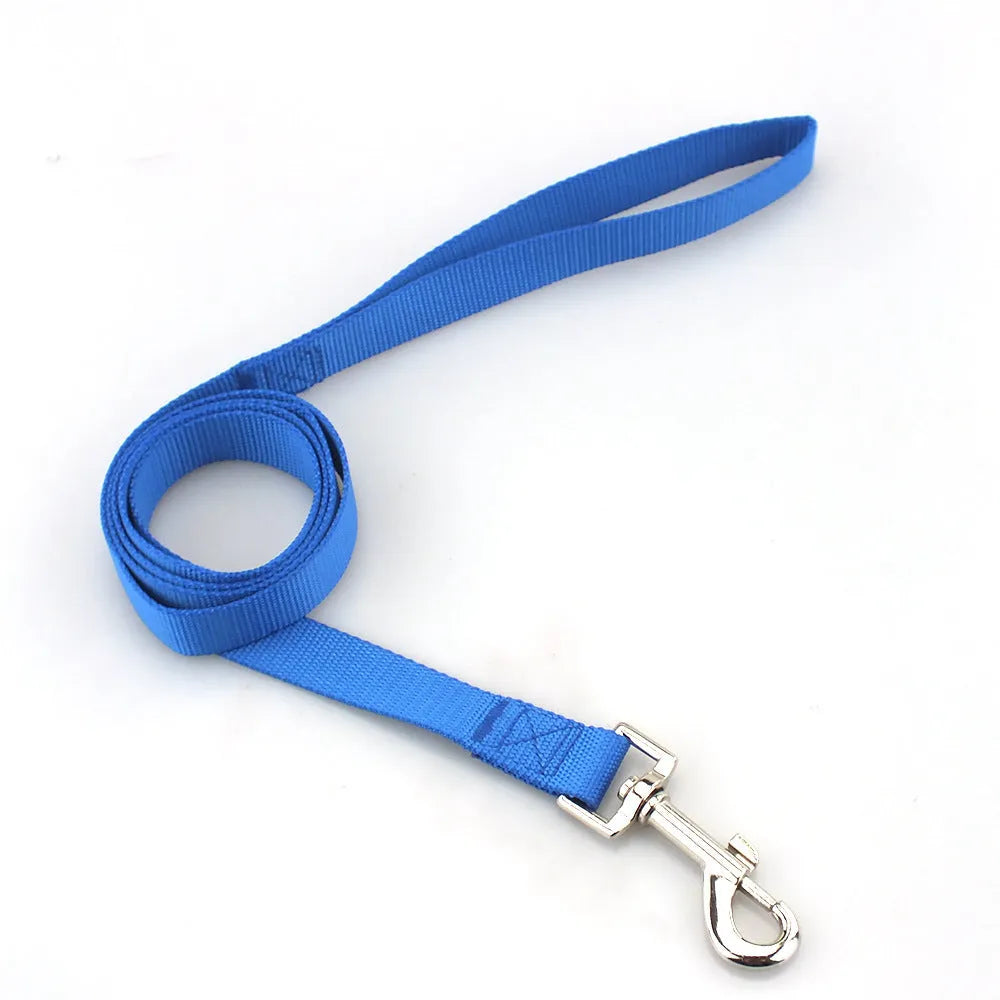Solid colour nylon dog walking leash in blue held in a hand, showing the single rope design and hand loop.