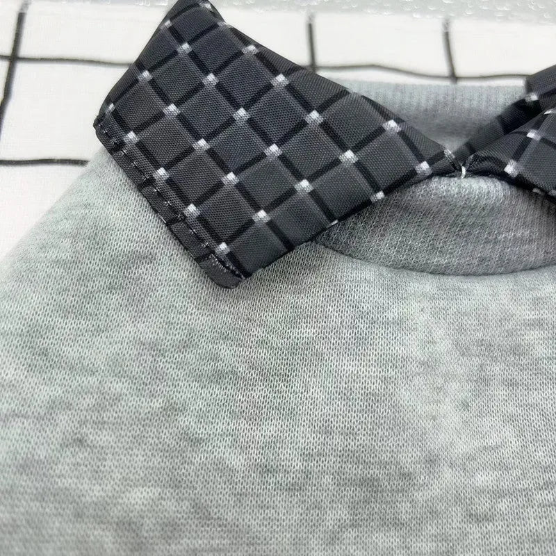 Grey dog sweater with detachable collar hoodie on pet model