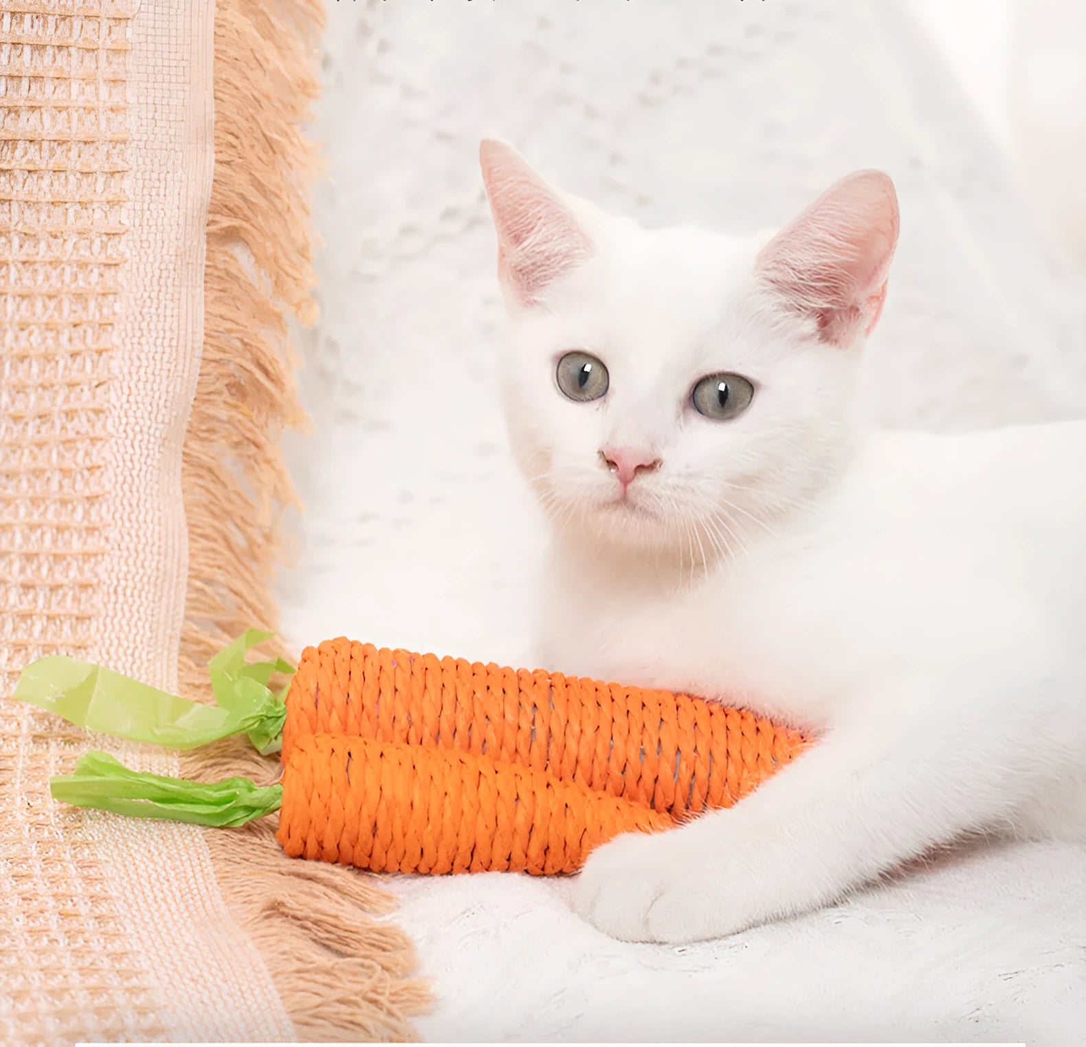 Set of interactive cat toys including paper carrot bites, sticks, and toys with ringing stones.