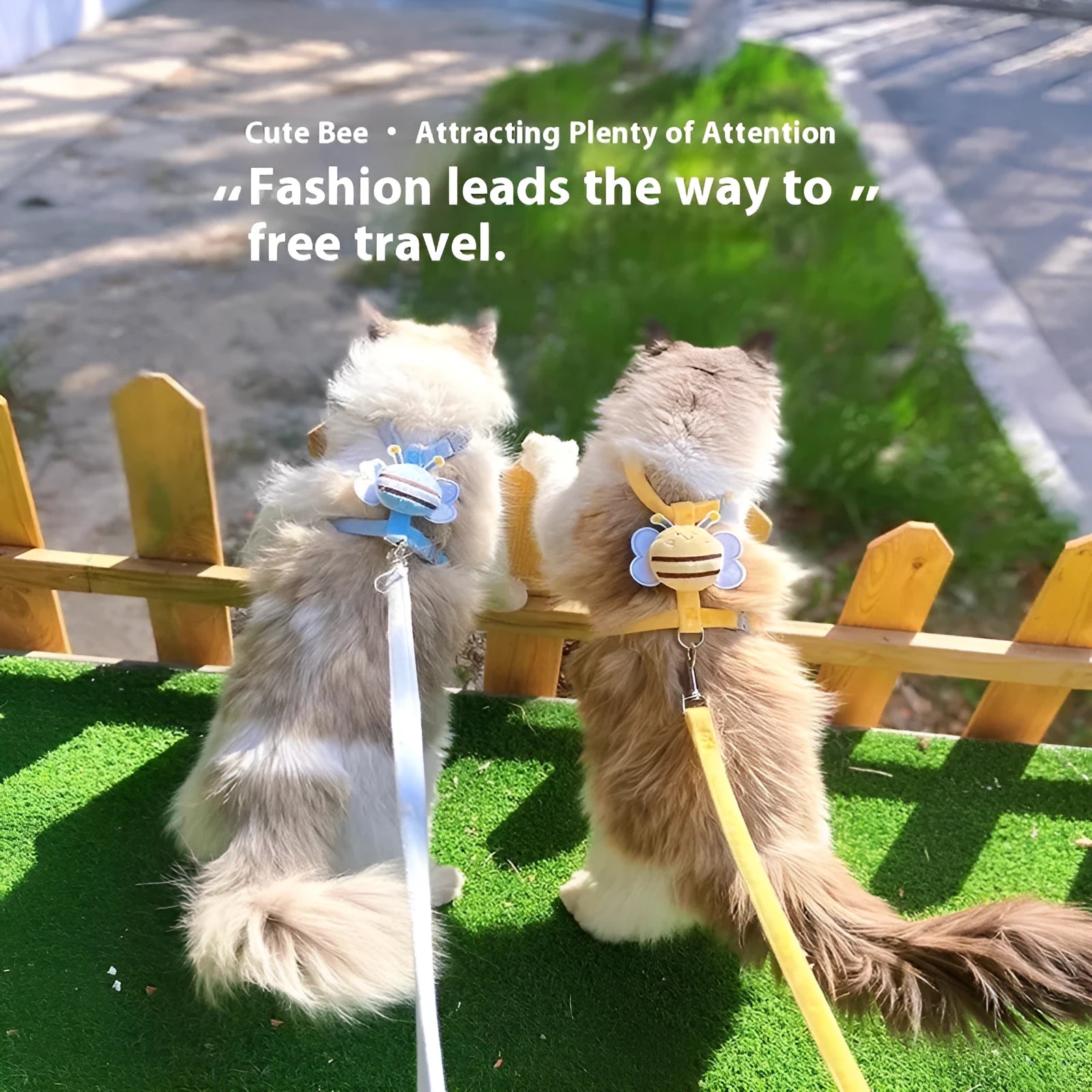 Bee-shaped adjustable cat leash in polyester material with multiple colour options