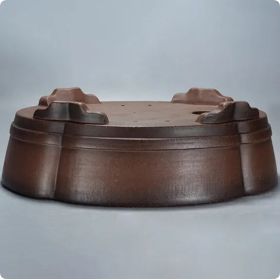 A large, simple purple clay bonsai pot on a table, suitable for indoor plants.