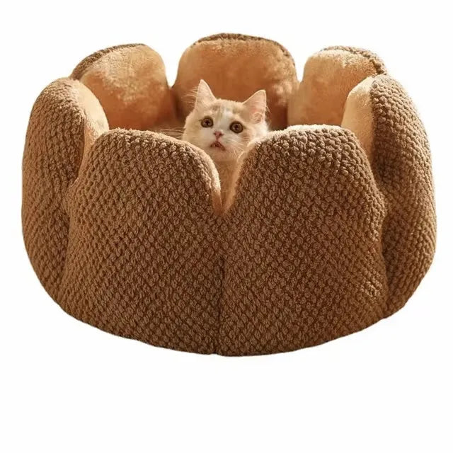 Green enclosed pet bed with cactus petal shaped opening and soft plush fabric