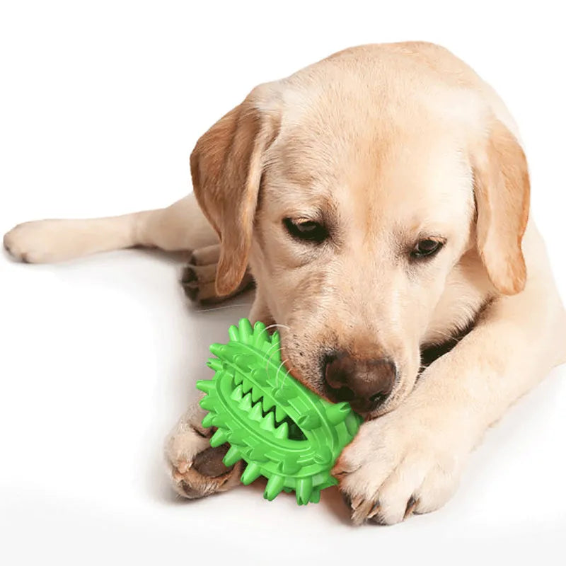 Green cactus-shaped dog chew toy for dental cleaning, made from food-grade rubber.