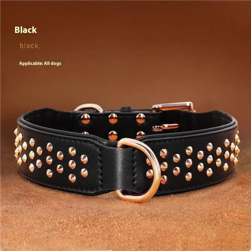 Brown leather dog collar with metal rivet studs, shown on a black background.