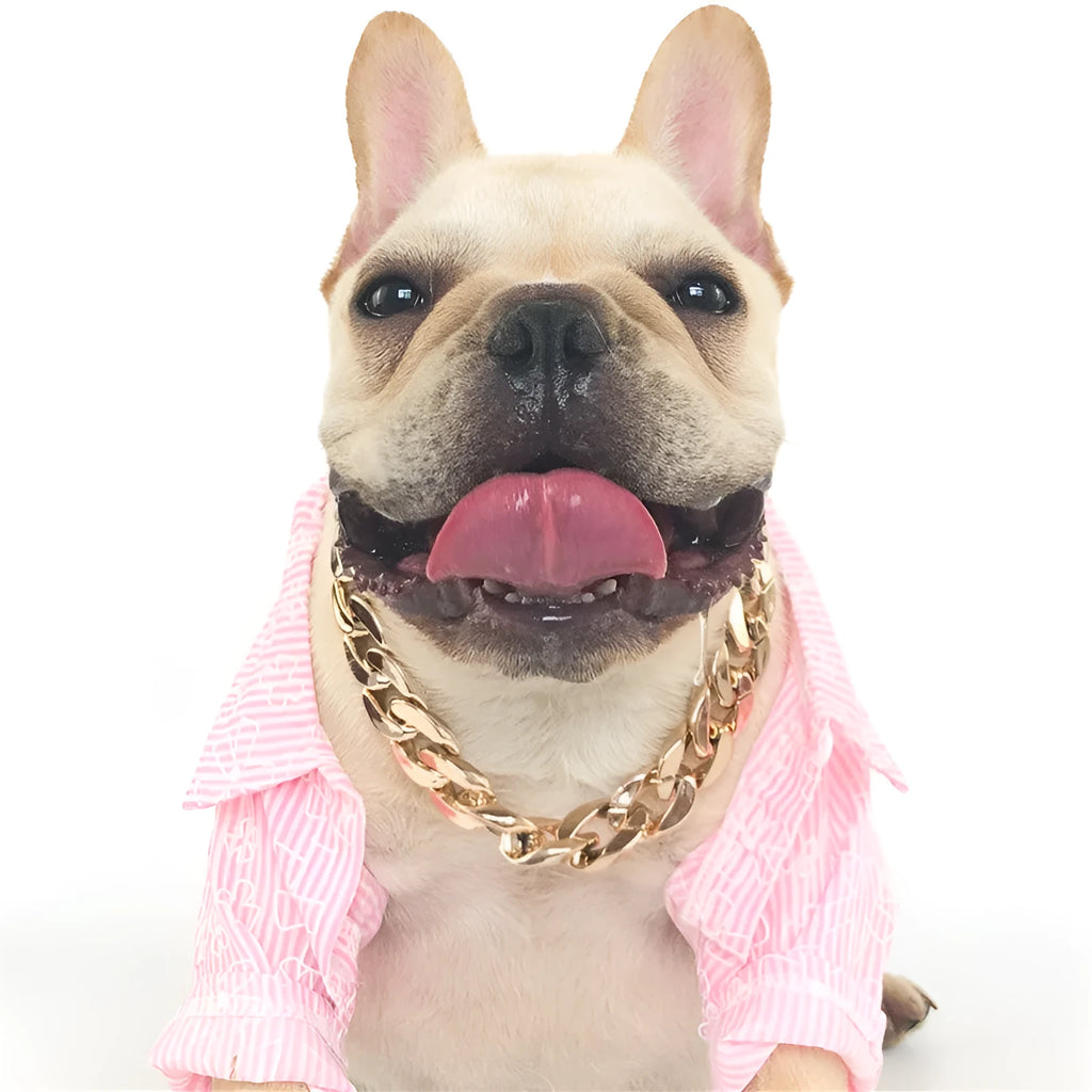 Geometric twisted chain dog collar with buckle on a white background, shown in a gold colour.