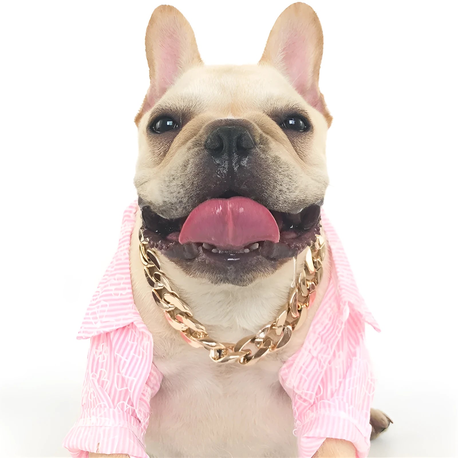 Geometric twisted chain dog collar with buckle on a white background, shown in a gold colour.