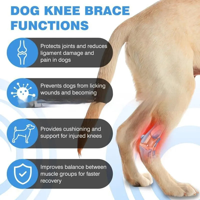 Black polyester pet leg guard for ACL rehabilitation and joint dislocation protection