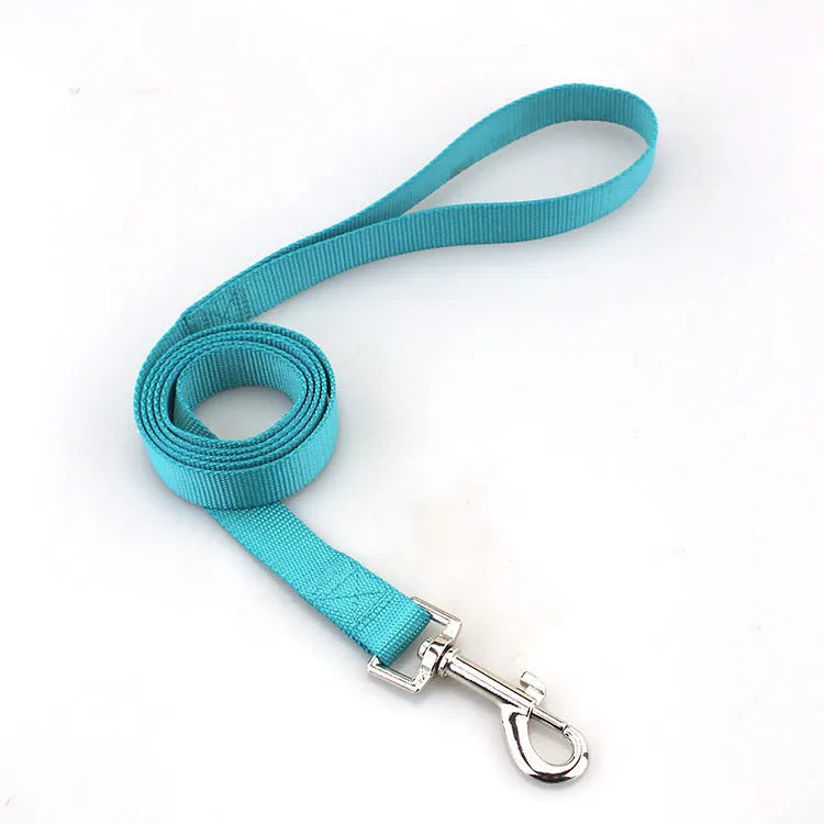 Solid colour nylon dog walking leash in blue held in a hand, showing the single rope design and hand loop.