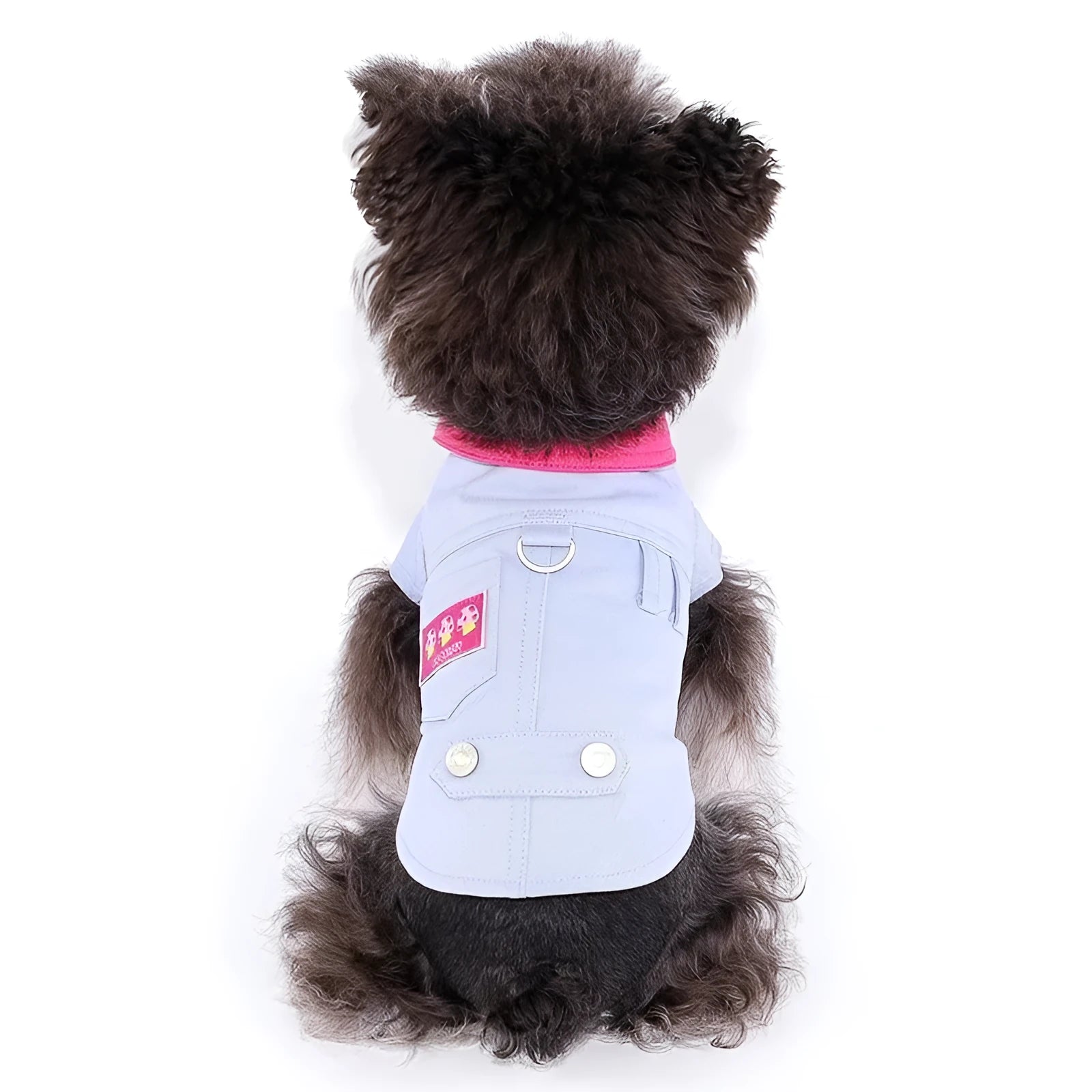 Blue and purple polyester dog vest with chest ring for traction rope attachment in seven sizes for small dogs