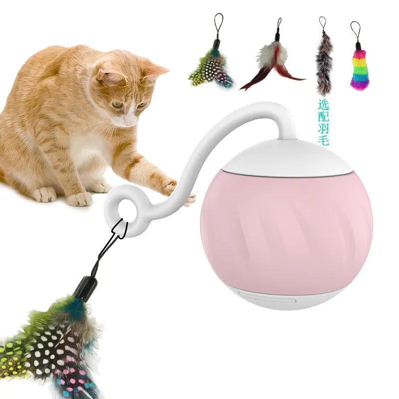 Electric luminous cat teaser ball in pumpkin or watermelon design with automated rotation
