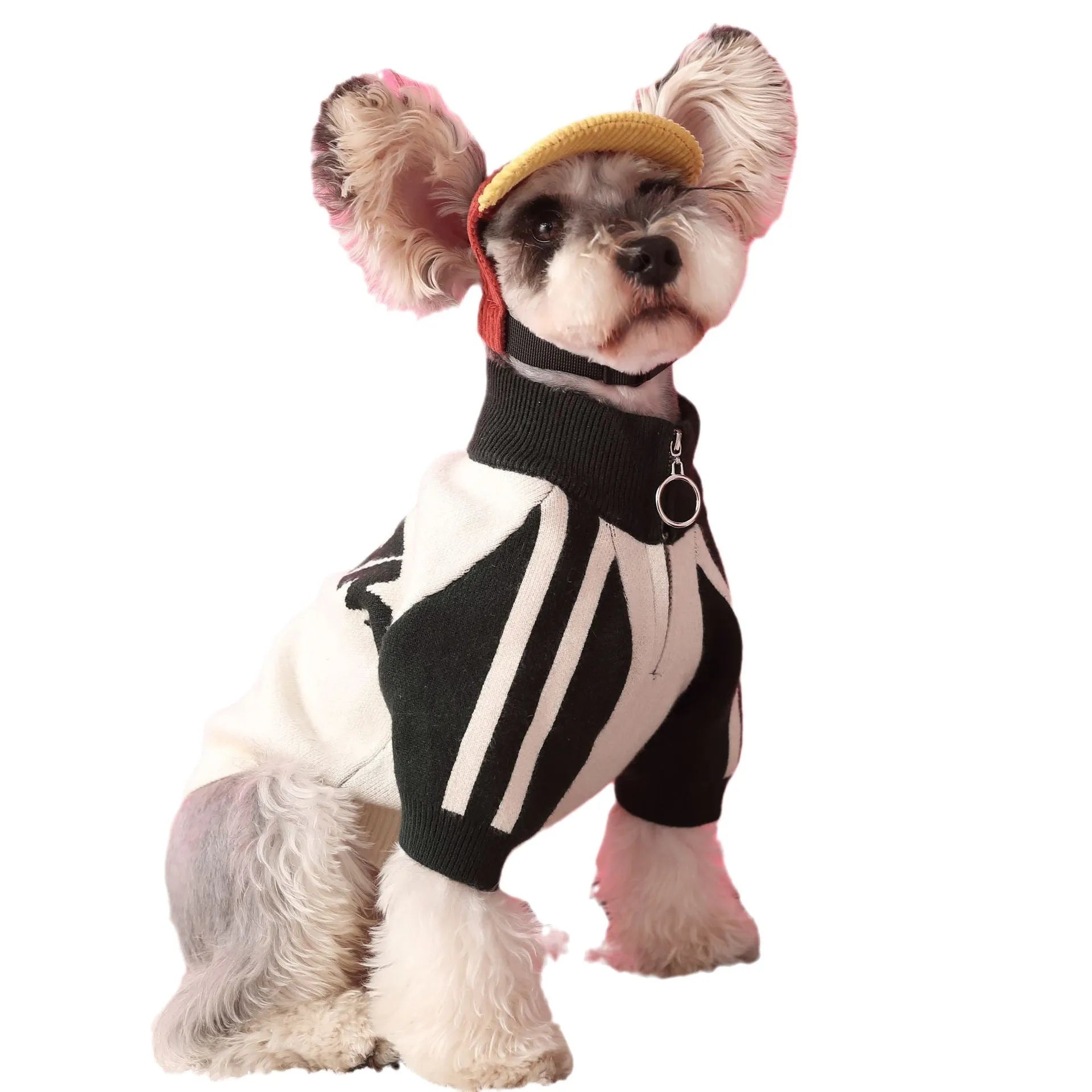 Red wool blend sports sweater cardigan for a medium-sized dog, shown on a mannequin.