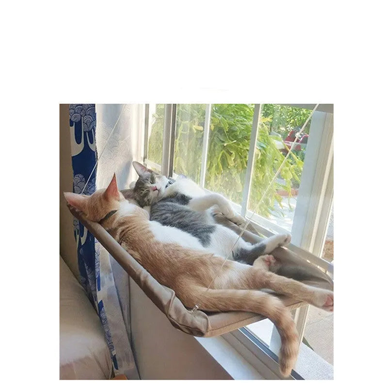 Grey cat lying on an Oxford cloth pet litter sucker hanging window hammock with suction cups attached to glass
