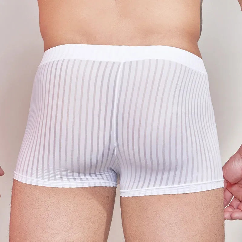 Men's striped underwear in black, white, and dark grey colours showing thin transparent nylon fabric