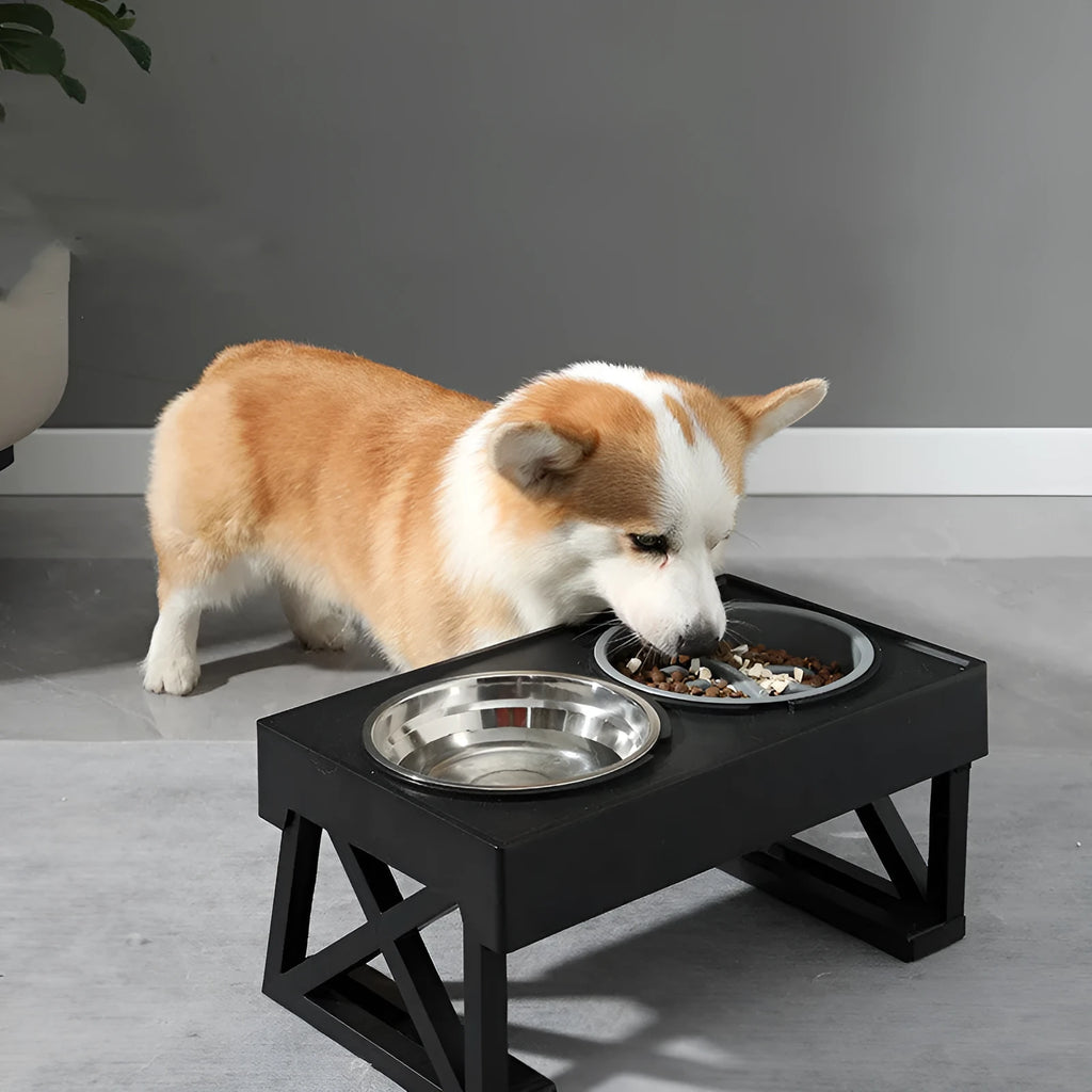 Adjustable elevated stainless steel anti-choke slow food dog bowl with double bowl set on floor