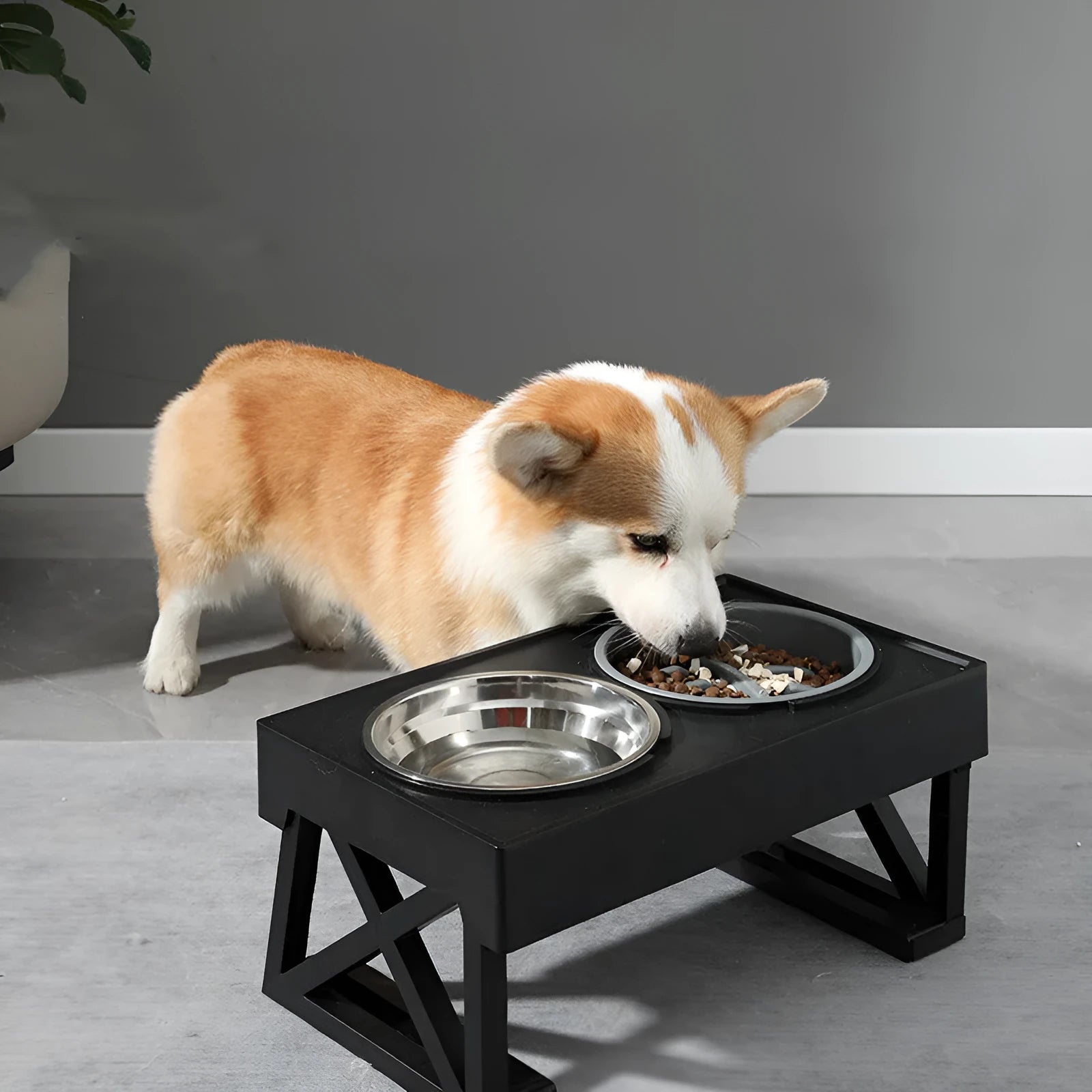 Adjustable elevated stainless steel anti-choke slow food dog bowl with double bowl set on floor