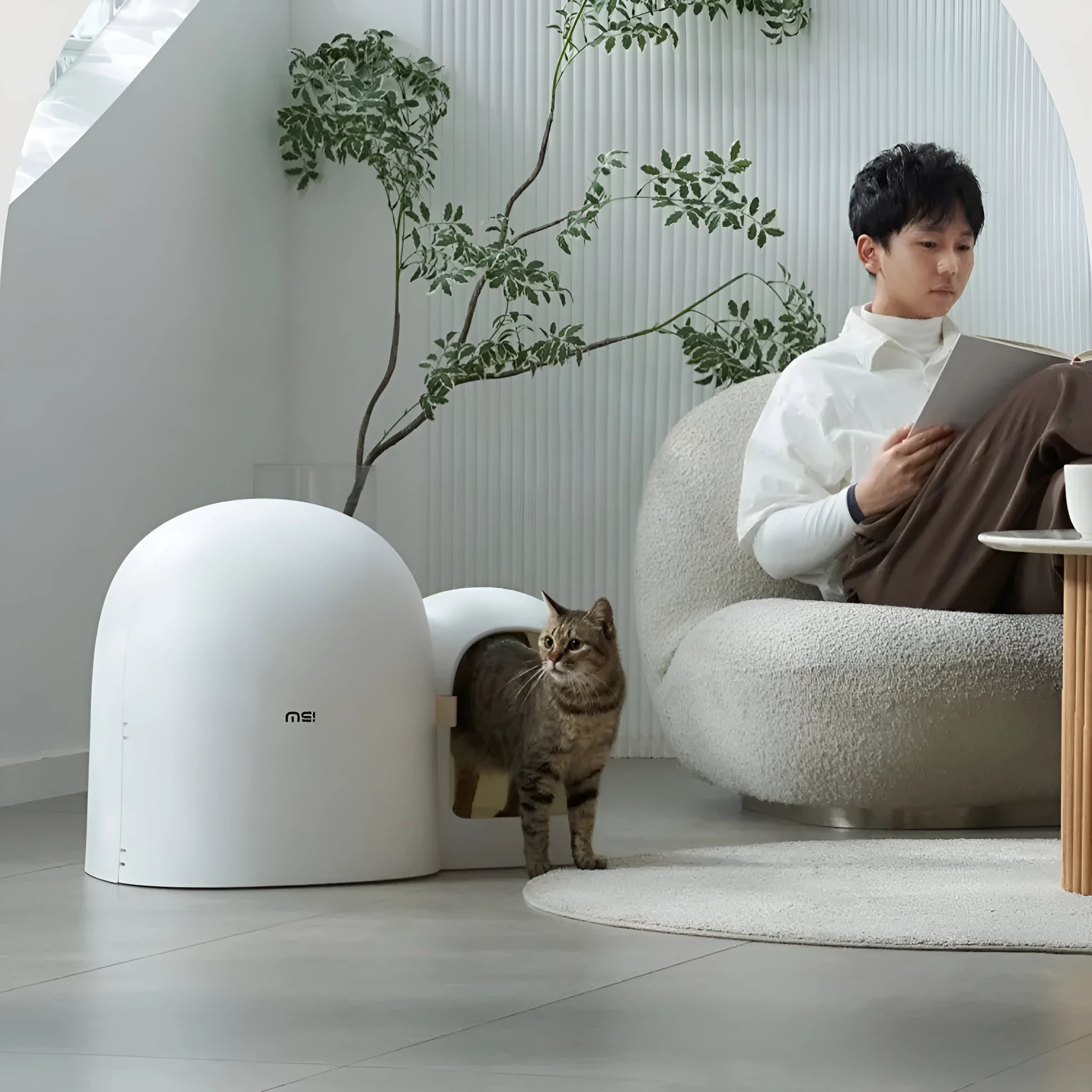 Creative fully enclosed cat litter box in Aurora White colour with top entry, measuring 67.7 cm long