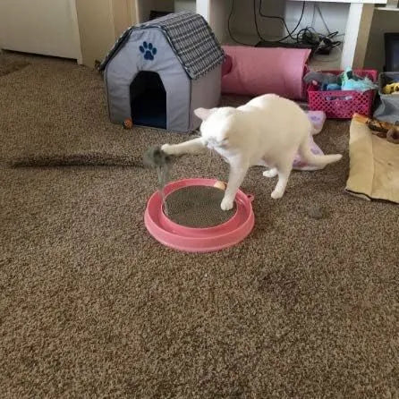 Circular blue cat scratcher with ball track and replaceable cardboard centre