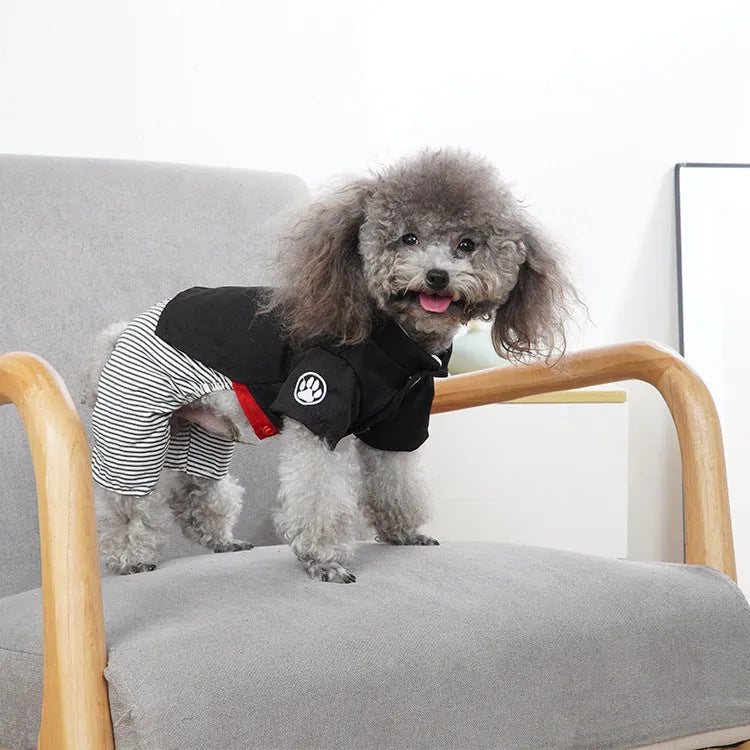 Cotton poodle dog clothes in skirt or four-legged pants styles for spring and autumn wear