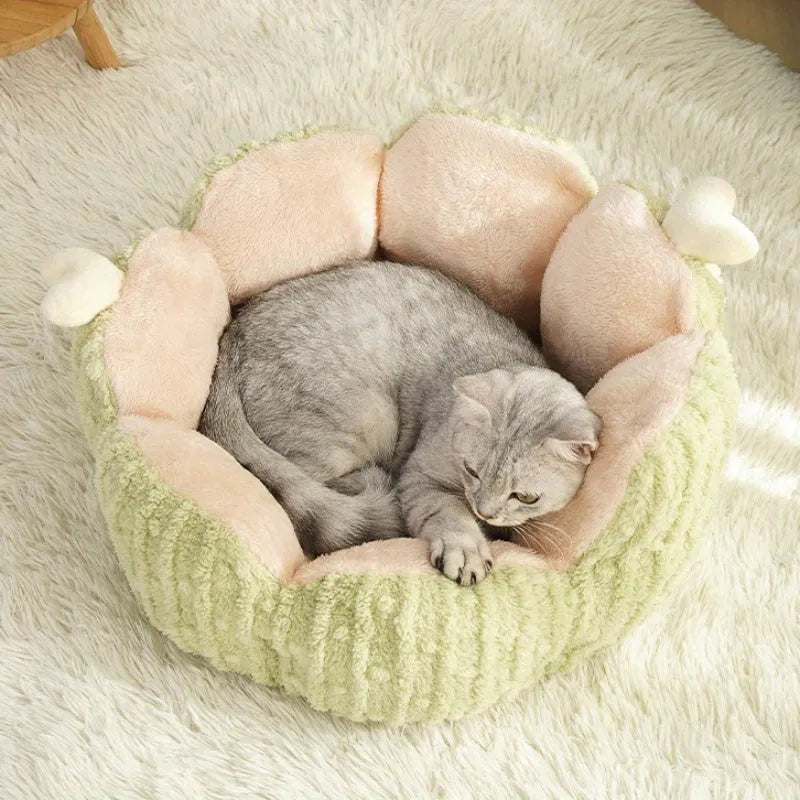 Soft purple or green cactus-themed cat kennel shown in large and small sizes.