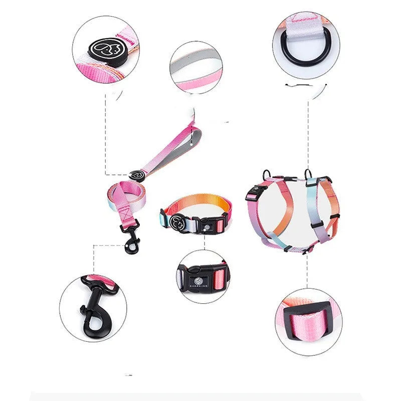 Gradient colour pet harness with chest and back straps in adjustable S, M, L sizes