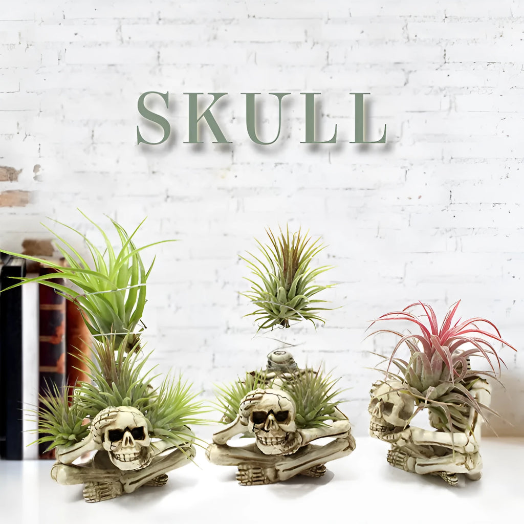 Gothic skull design resin bracket for Tillandsia air plants on iron base, measuring 7cm wide by 8cm deep by 12.5cm high