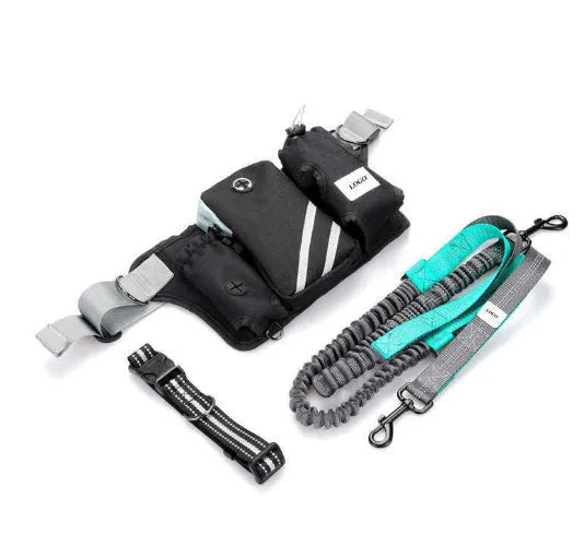 Black nylon outdoor pet training waist bag set with dog leash and collar for hands-free walking