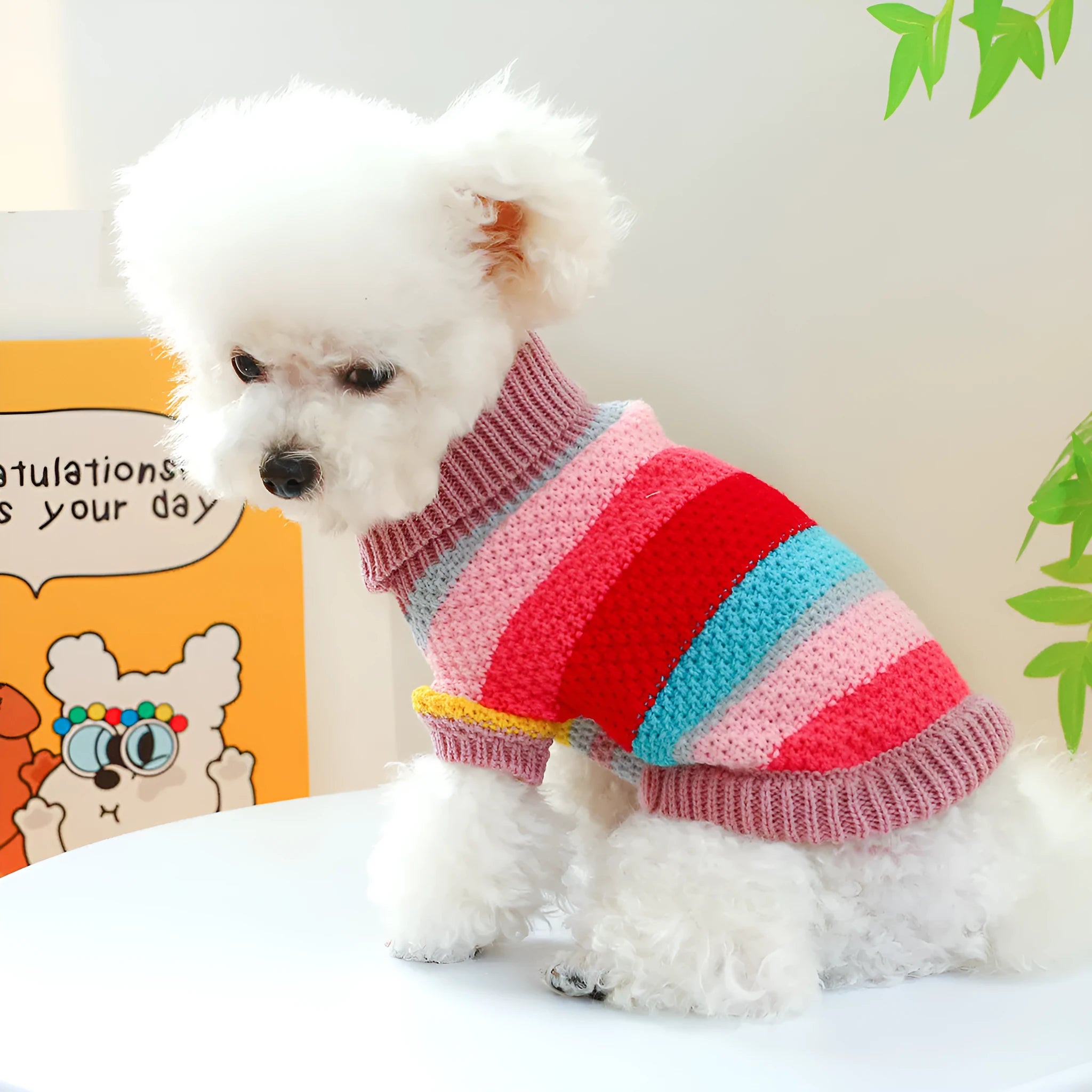 Colourful striped acrylic pet sweater for dogs and cats, five sizes XS to XL