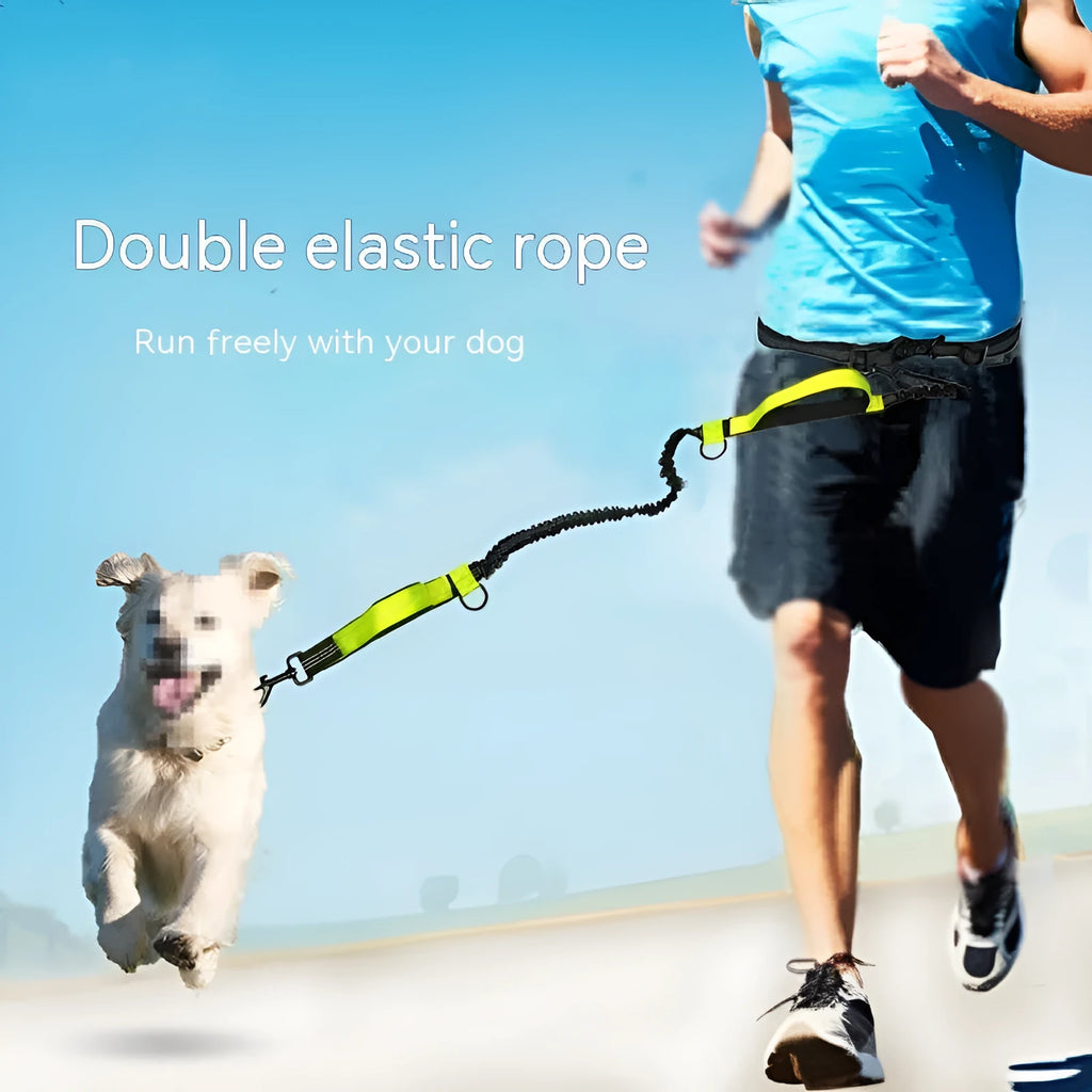 Fluorescent green pet traction rope retractable running belt with foam grip and adjustable waist