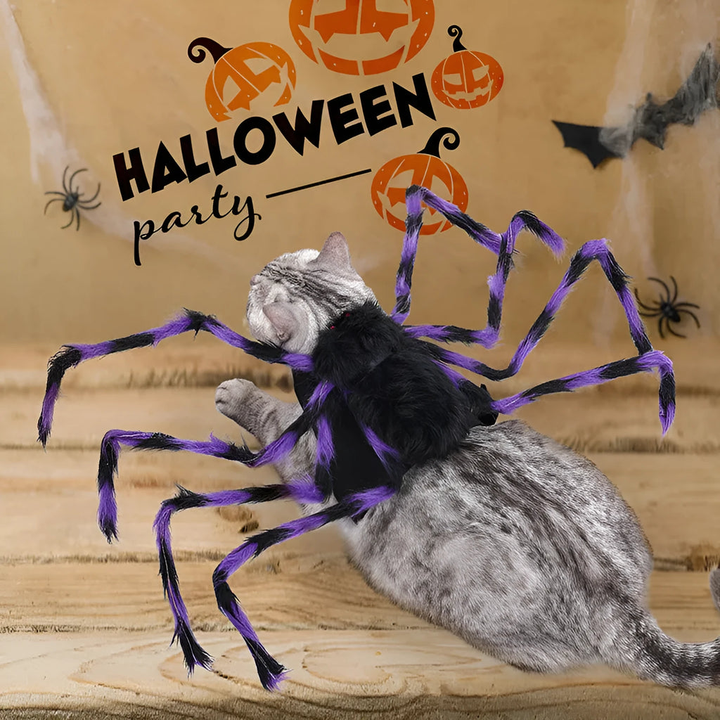 Halloween spider pet costume for dogs and cats in multiple sizes and colours
