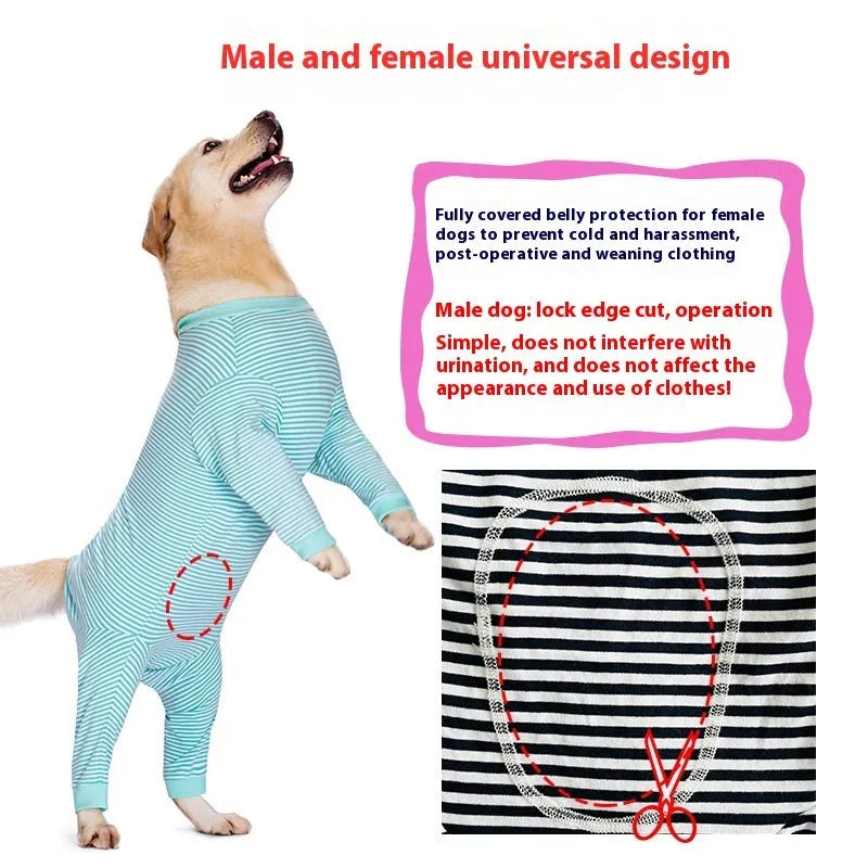Sky blue striped polyester dog shirt on a thin Golden Retriever, showing four-legged fit.