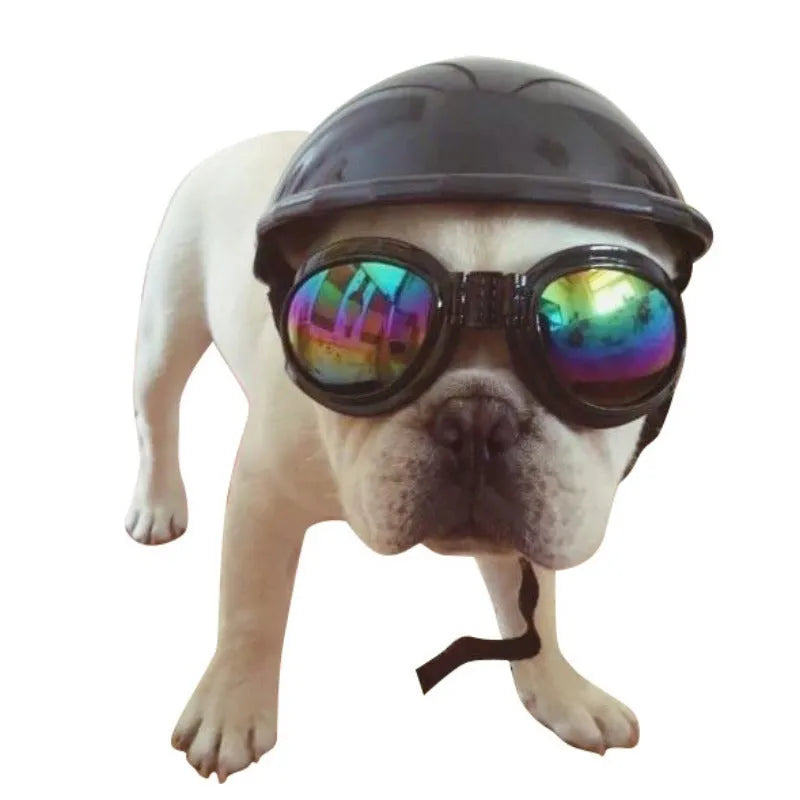 Plastic motorcycle-style cap helmet for a dog, shown in a solid colour with a Japanese aesthetic.