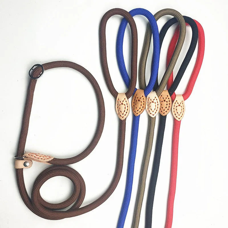 Blast race training dog collar and leash in five colour options with rope construction
