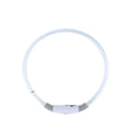 USB rechargeable LED dog collar with glowing light in blue colour, adjustable 70cm length