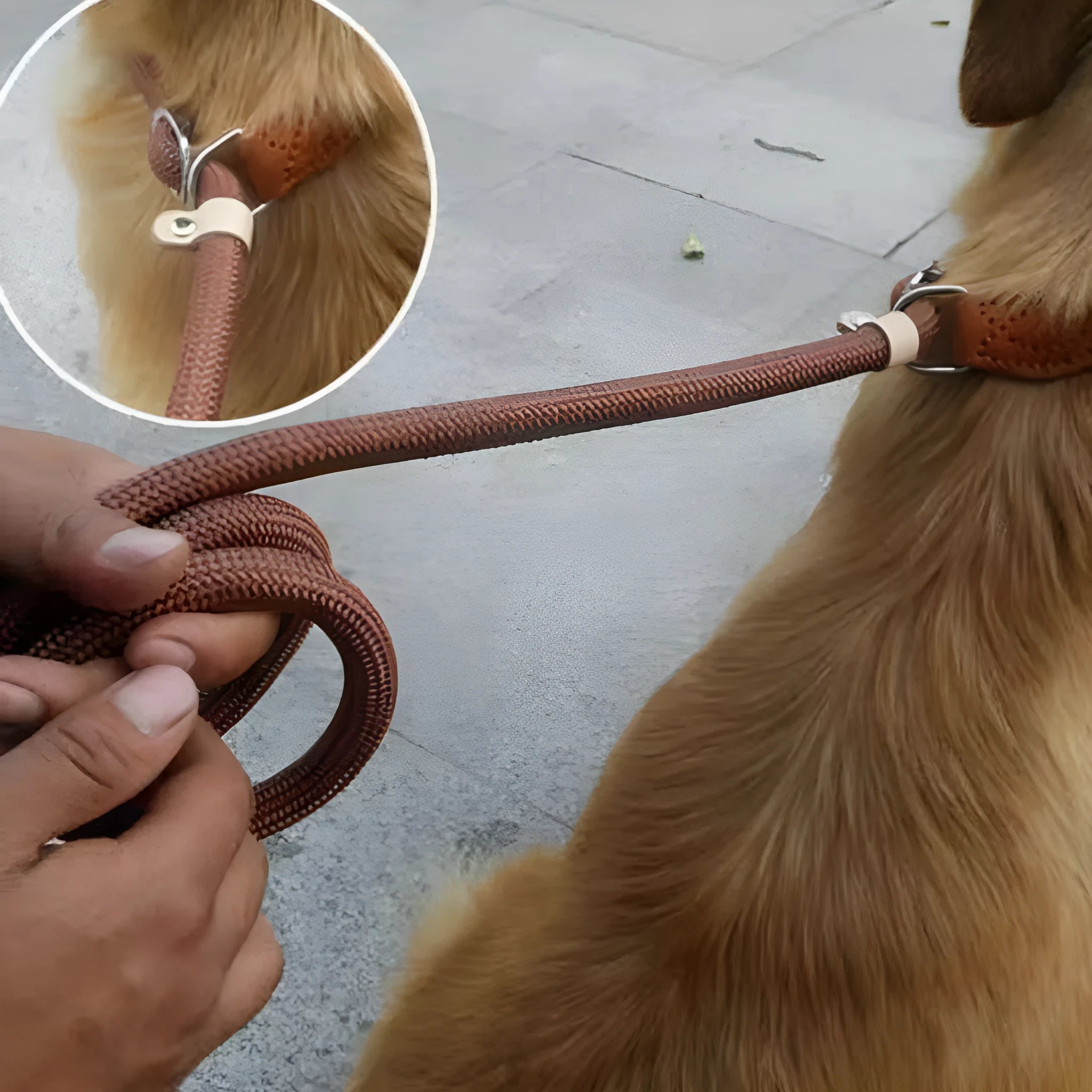Brown nylon dog leash with hand holding rope design measuring 2.1 metres in length