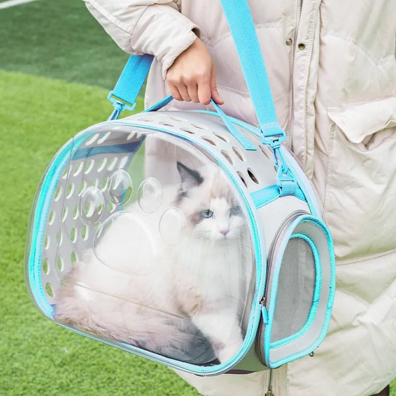 Large transparent EVA cat backpack space capsule design in grass green colour with hard shell construction