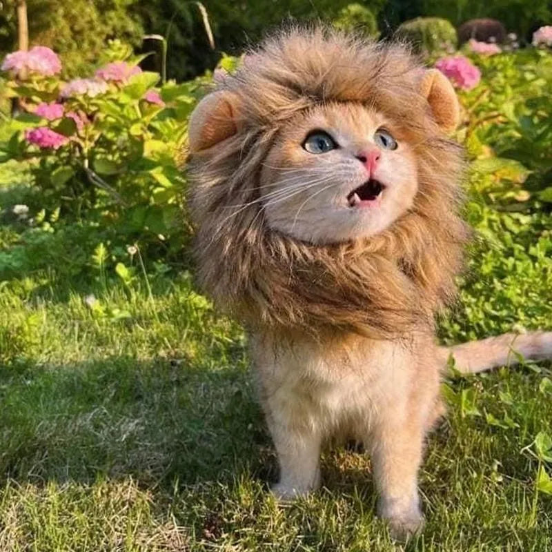Lion mane wig for cats and small dogs with plush ears and fluffy artificial hair